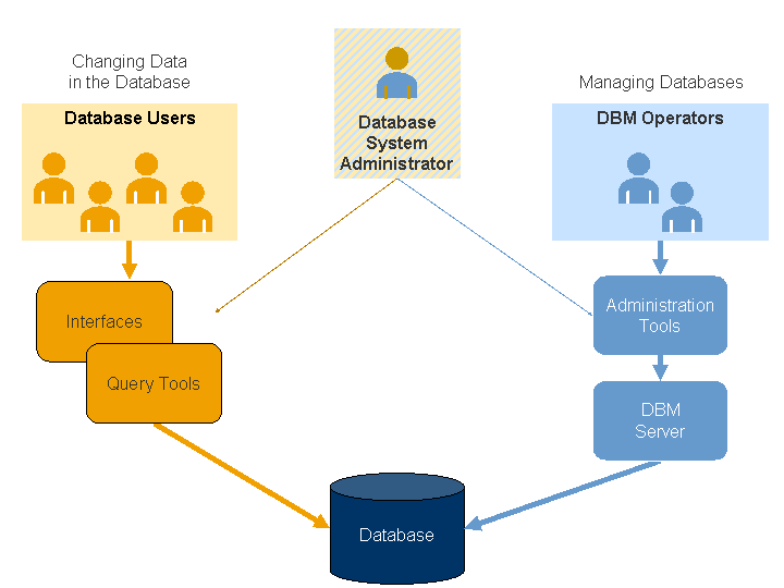 what are the types of database users